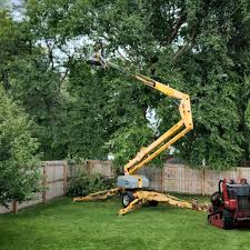 Best Aeration Services  in Bayard, NM